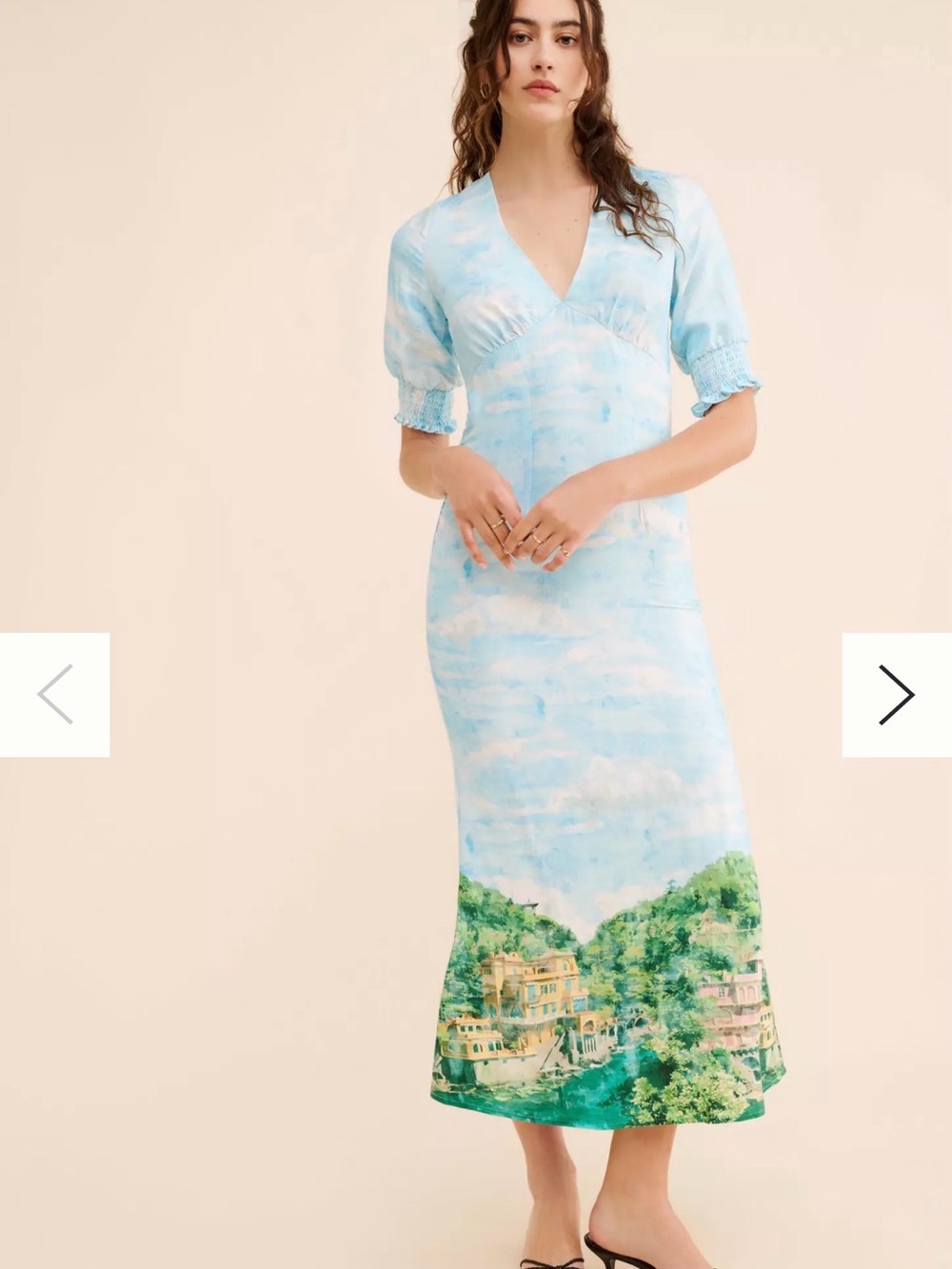 Anthropologie Never Fully Dressed Scenery May Dress Size 12